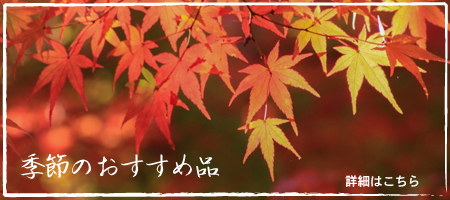 巽楽 季節のおすすめ品