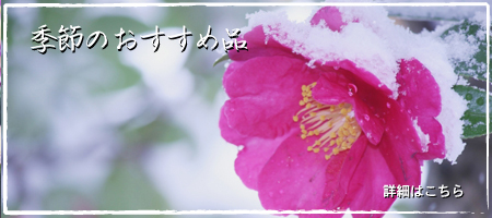 巽楽 季節のおすすめ品